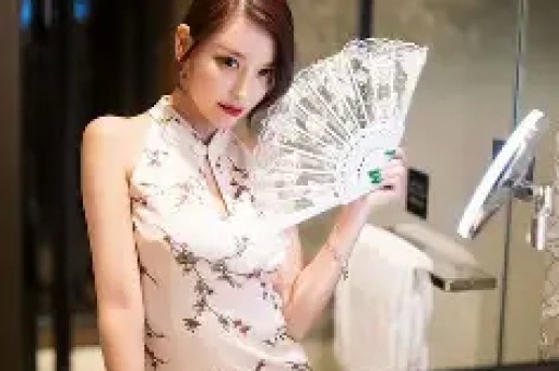 “老赖”艺人活动现场被强制执行：当场还款并抵押汽车